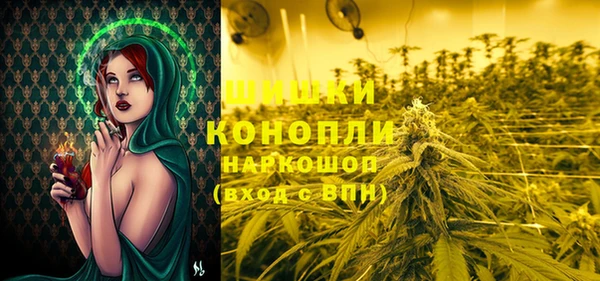 бутират Мегион