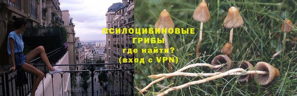 бутират Мегион