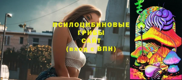 spice Медногорск
