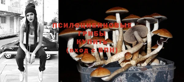 каннабис Майский