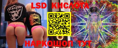 шишки Заводоуковск