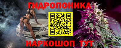 apvp Заволжье
