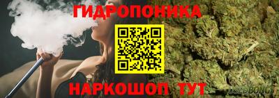 герыч Дубна