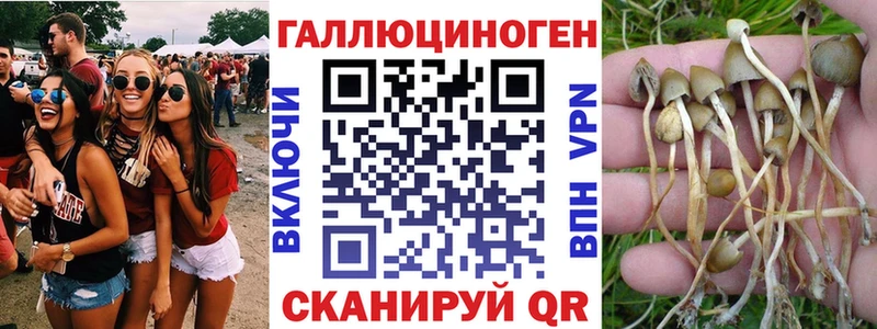 Псилоцибиновые грибы MAGIC MUSHROOMS  как найти наркотики  KRAKEN ТОР  Самара 