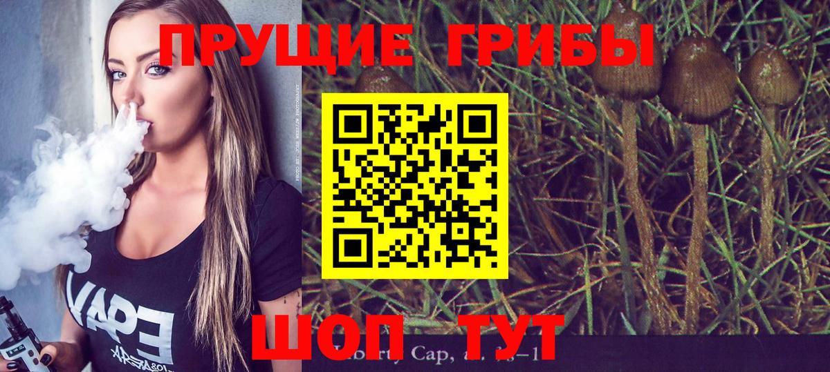 цена наркотик  Псилоцибиновые грибы прущие грибы  Галлюциногенные грибы GOLDEN TEACHER  Вход с VPN  Самара 